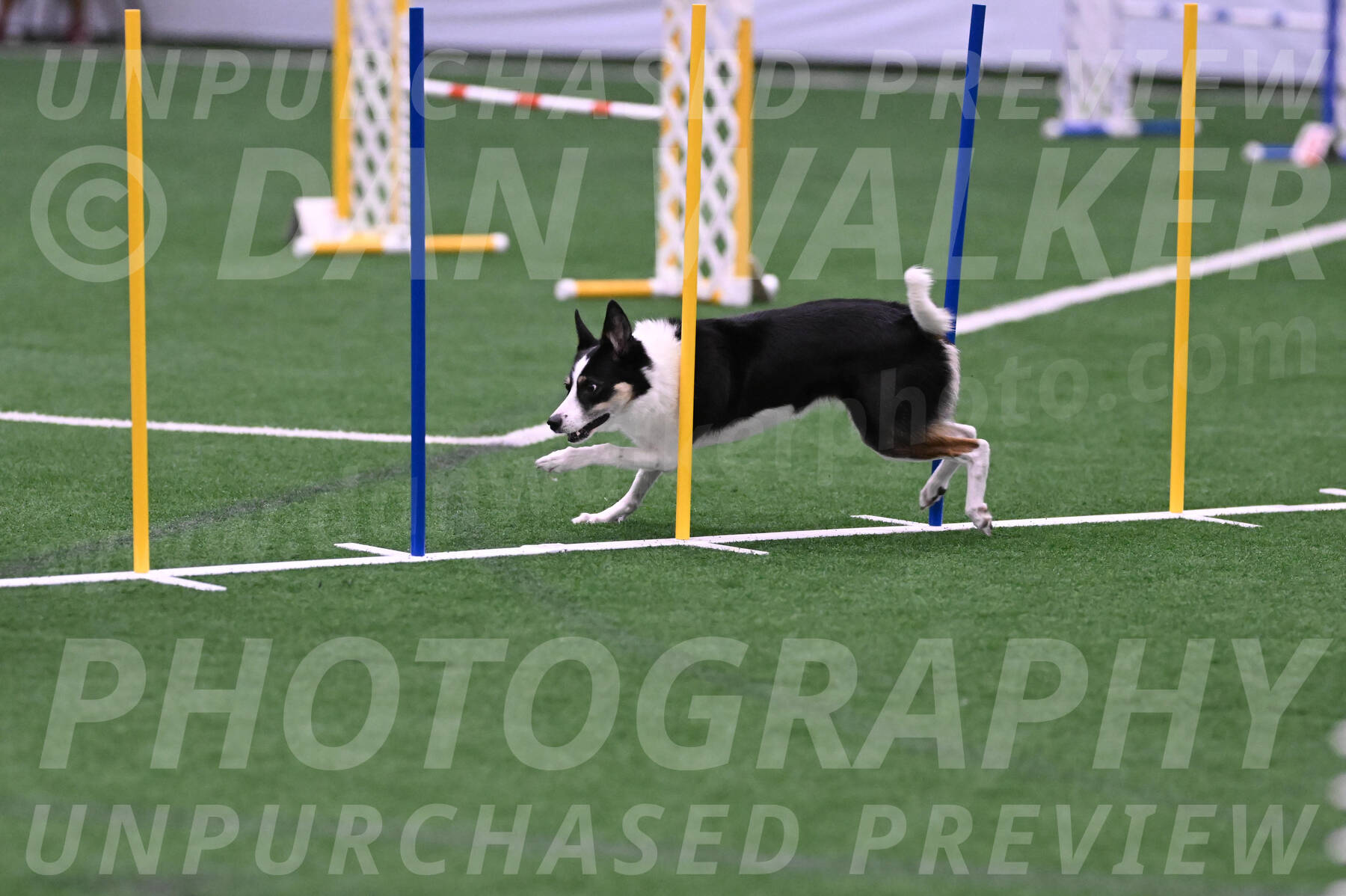 Elsie-Darrell-Bommarito-12563