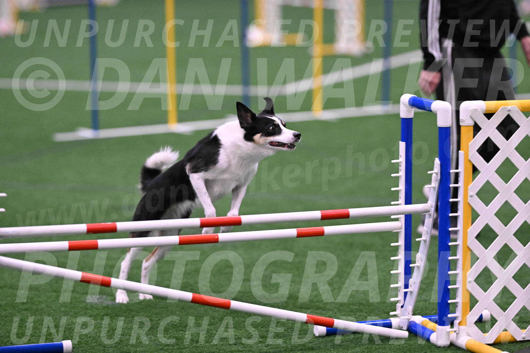 Elsie-Darrell-Bommarito-12572