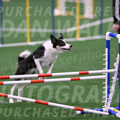 Elsie-Darrell-Bommarito-12572