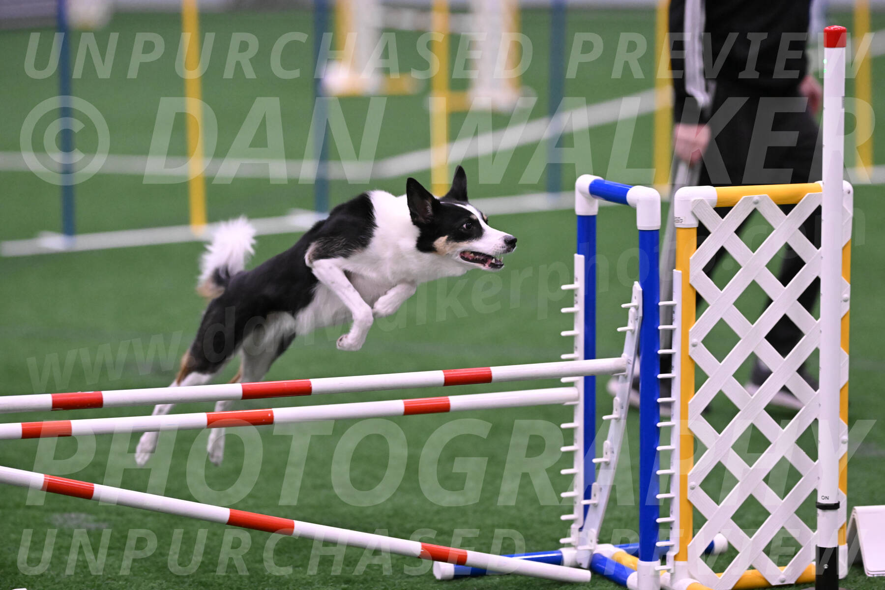 Elsie-Darrell-Bommarito-12573