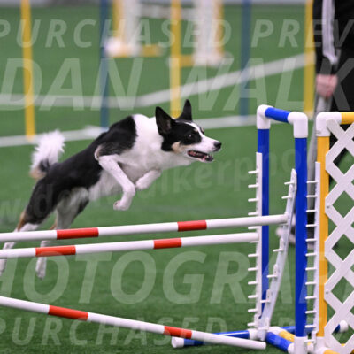 Elsie-Darrell-Bommarito-12573