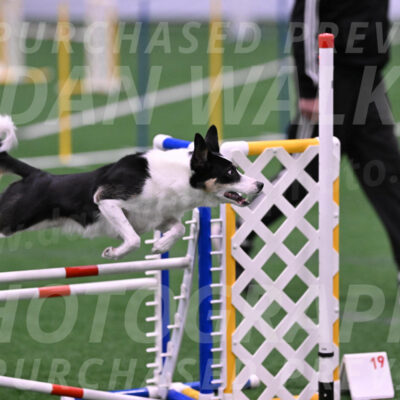 Elsie-Darrell-Bommarito-12575