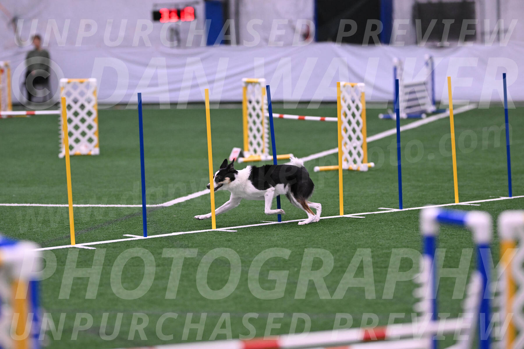 Elsie-Darrell-Bommarito-12614