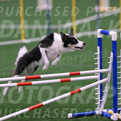 Elsie-Darrell-Bommarito-12631