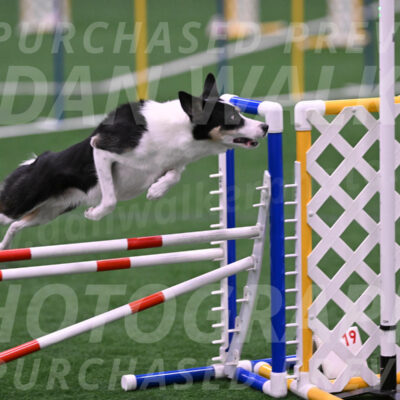 Elsie-Darrell-Bommarito-12632