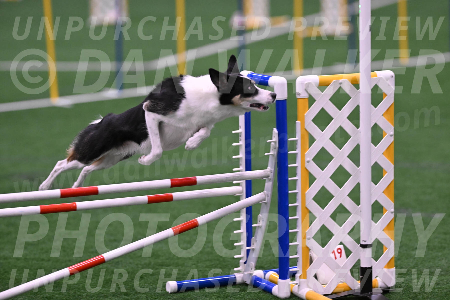 Elsie-Darrell-Bommarito-12632