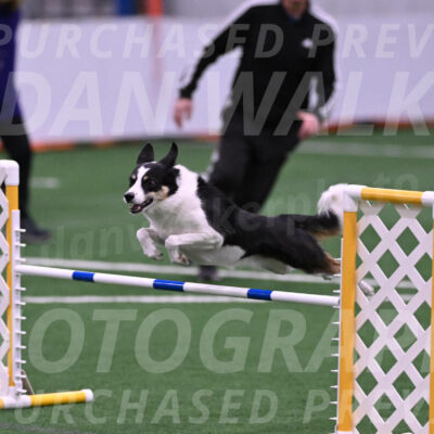 Elsie-Darrell-Bommarito-12643