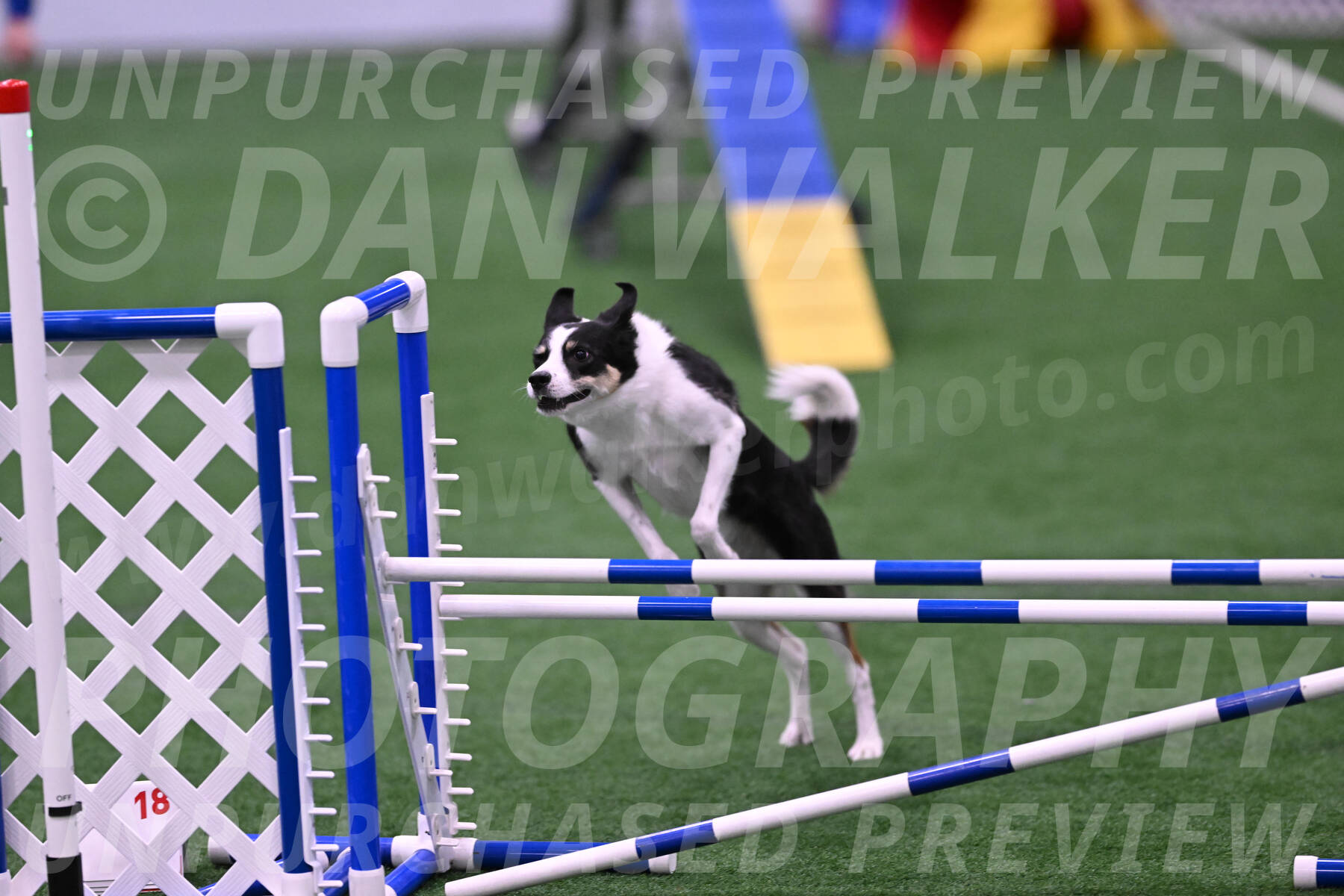 Elsie-Darrell-Bommarito-12745