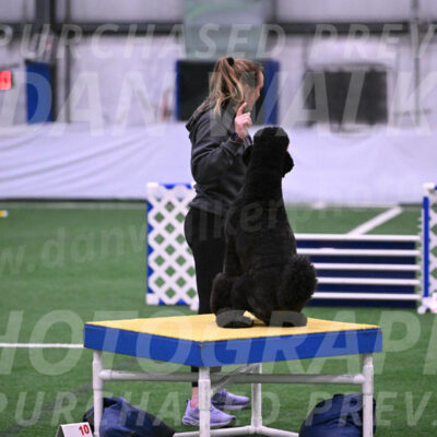 Ellie-Sharon-Muller-21974