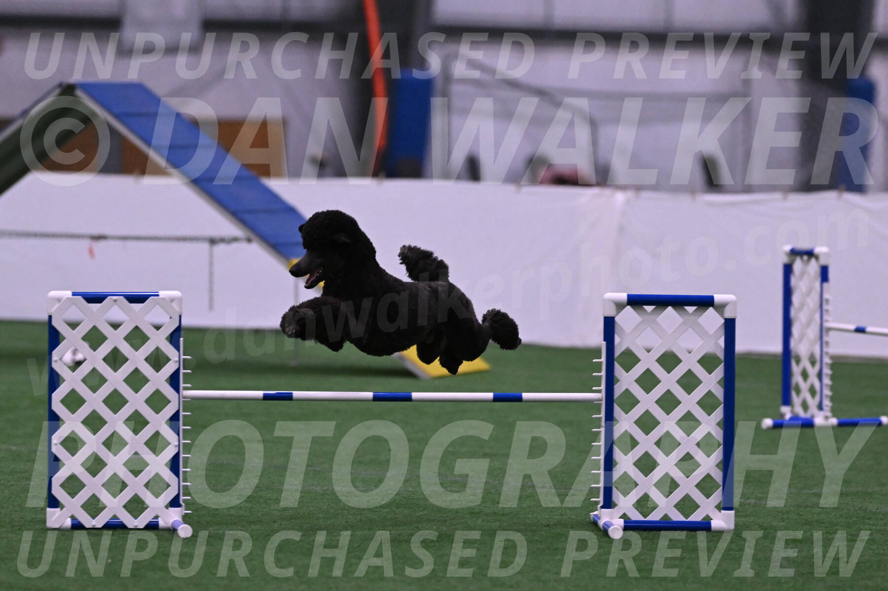 Finn-Madison-Canton-22993
