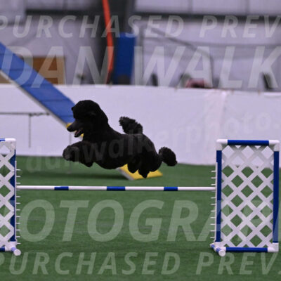 Finn-Madison-Canton-22993