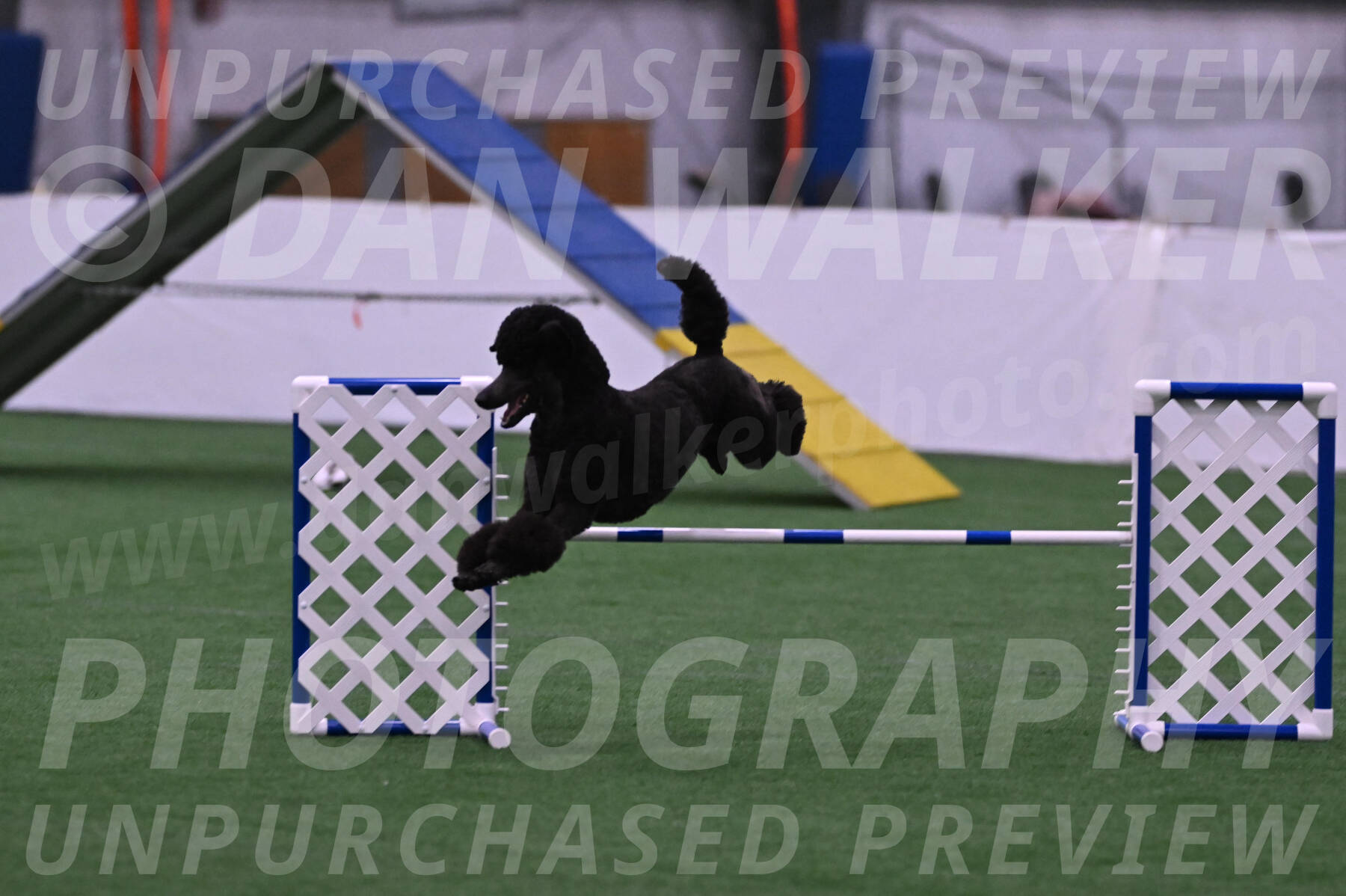 Finn-Madison-Canton-22995