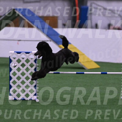 Finn-Madison-Canton-22995