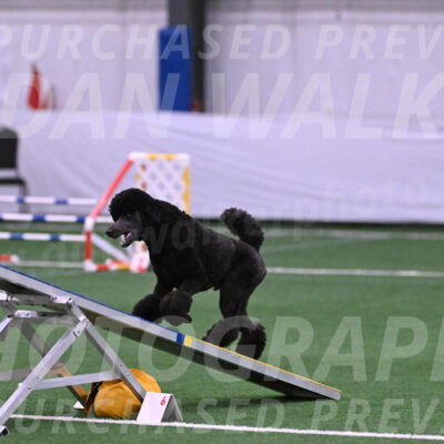 Finn-Madison-Canton-22999