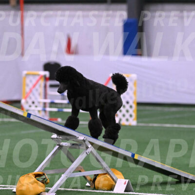 Finn-Madison-Canton-23002