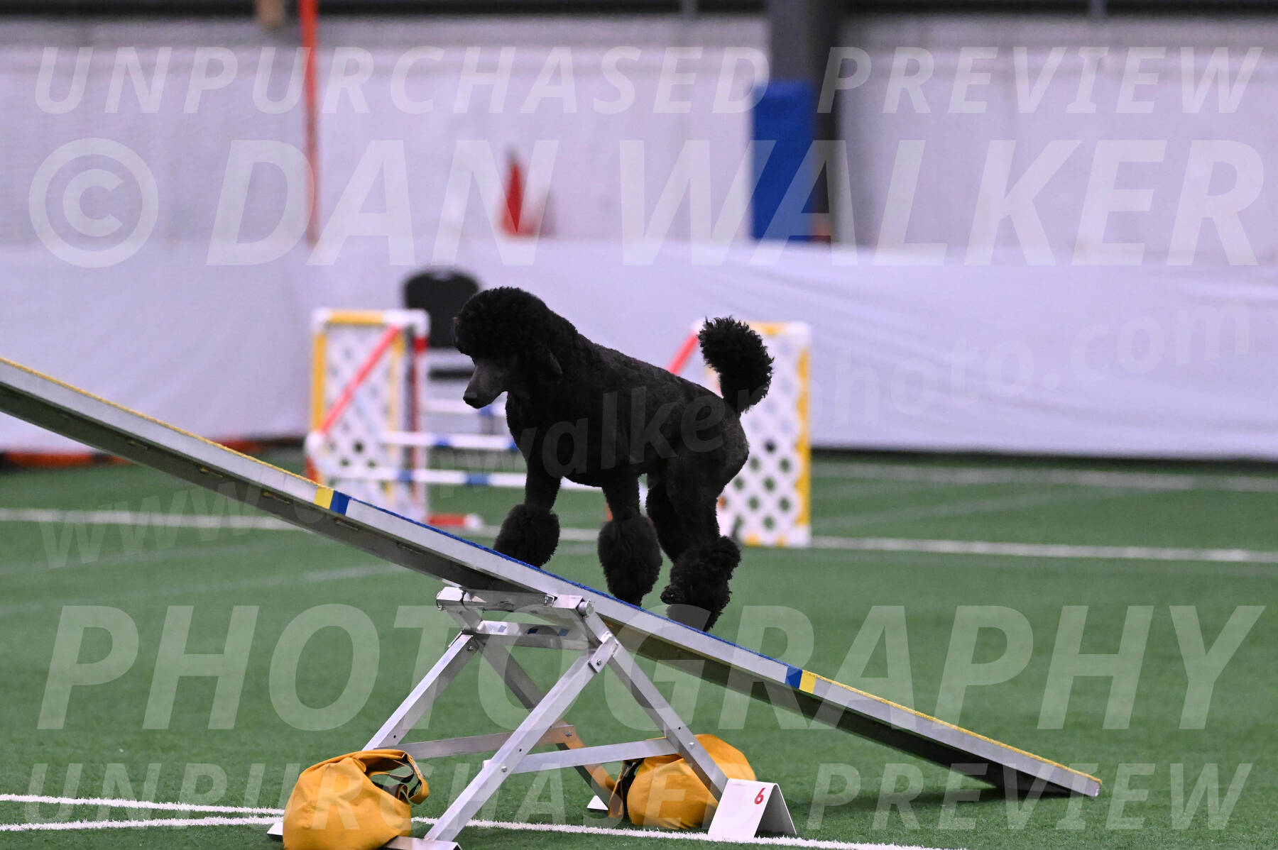 Finn-Madison-Canton-23002