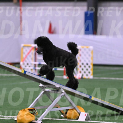 Finn-Madison-Canton-23004