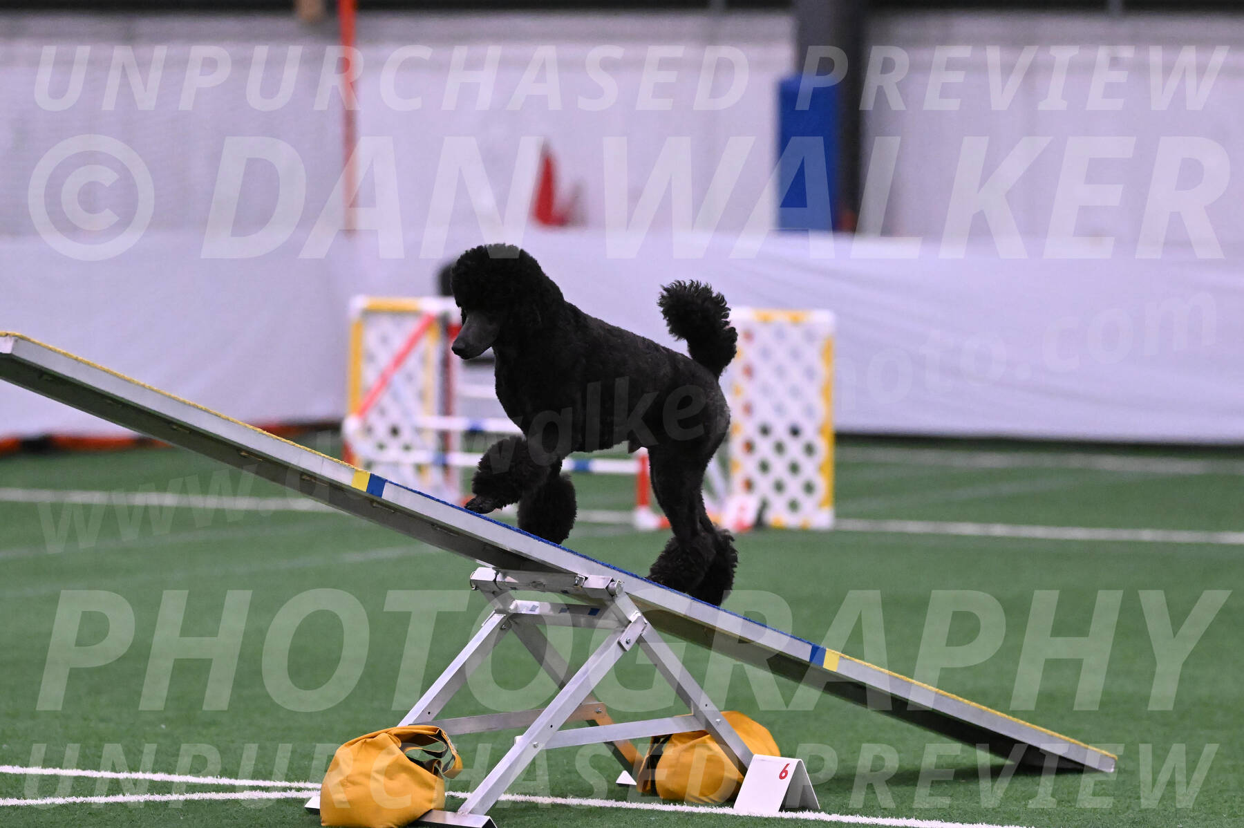 Finn-Madison-Canton-23004