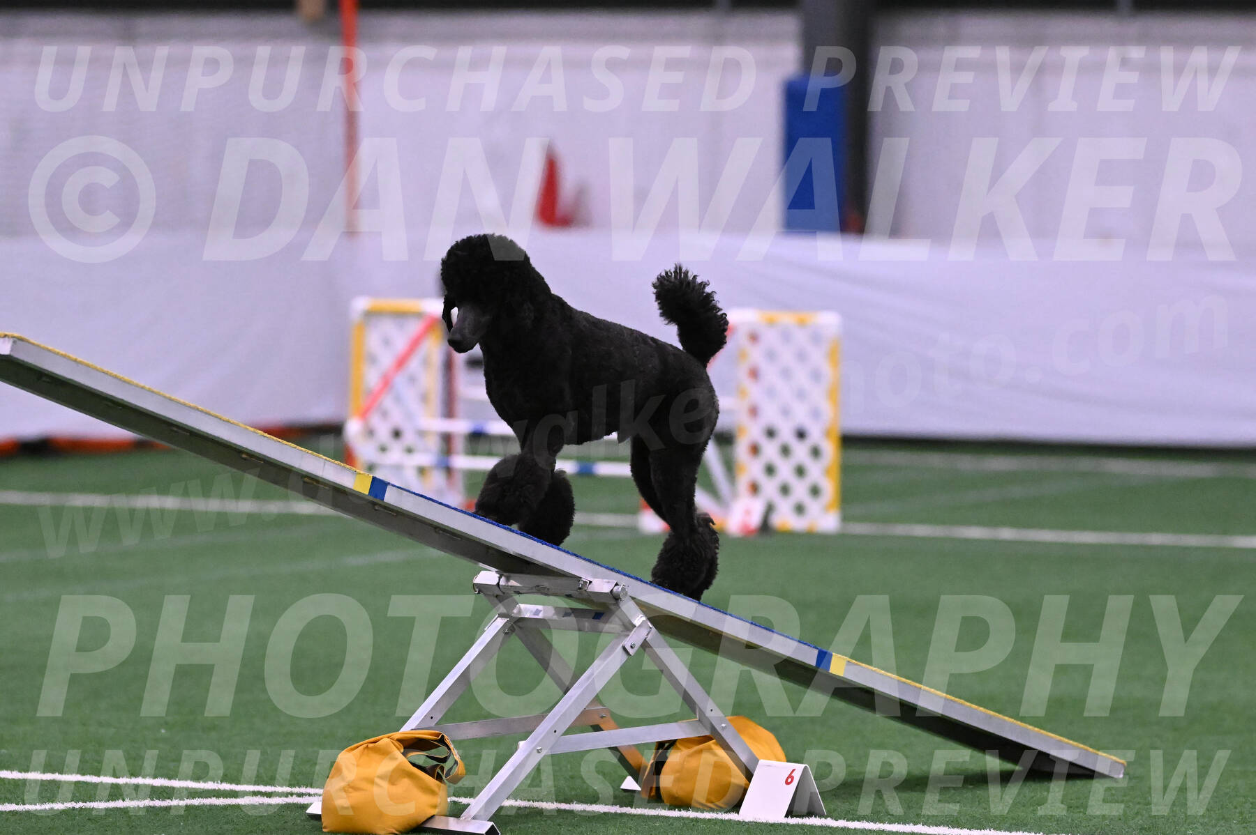 Finn-Madison-Canton-23005