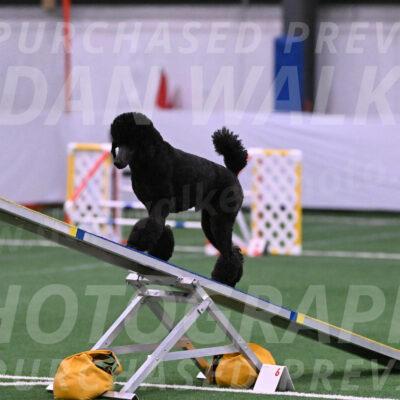 Finn-Madison-Canton-23005