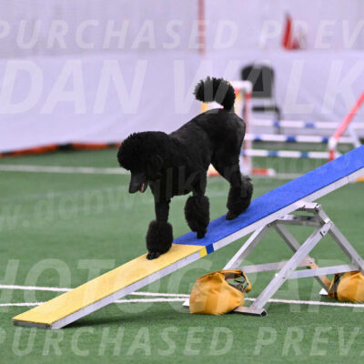 Finn-Madison-Canton-23009