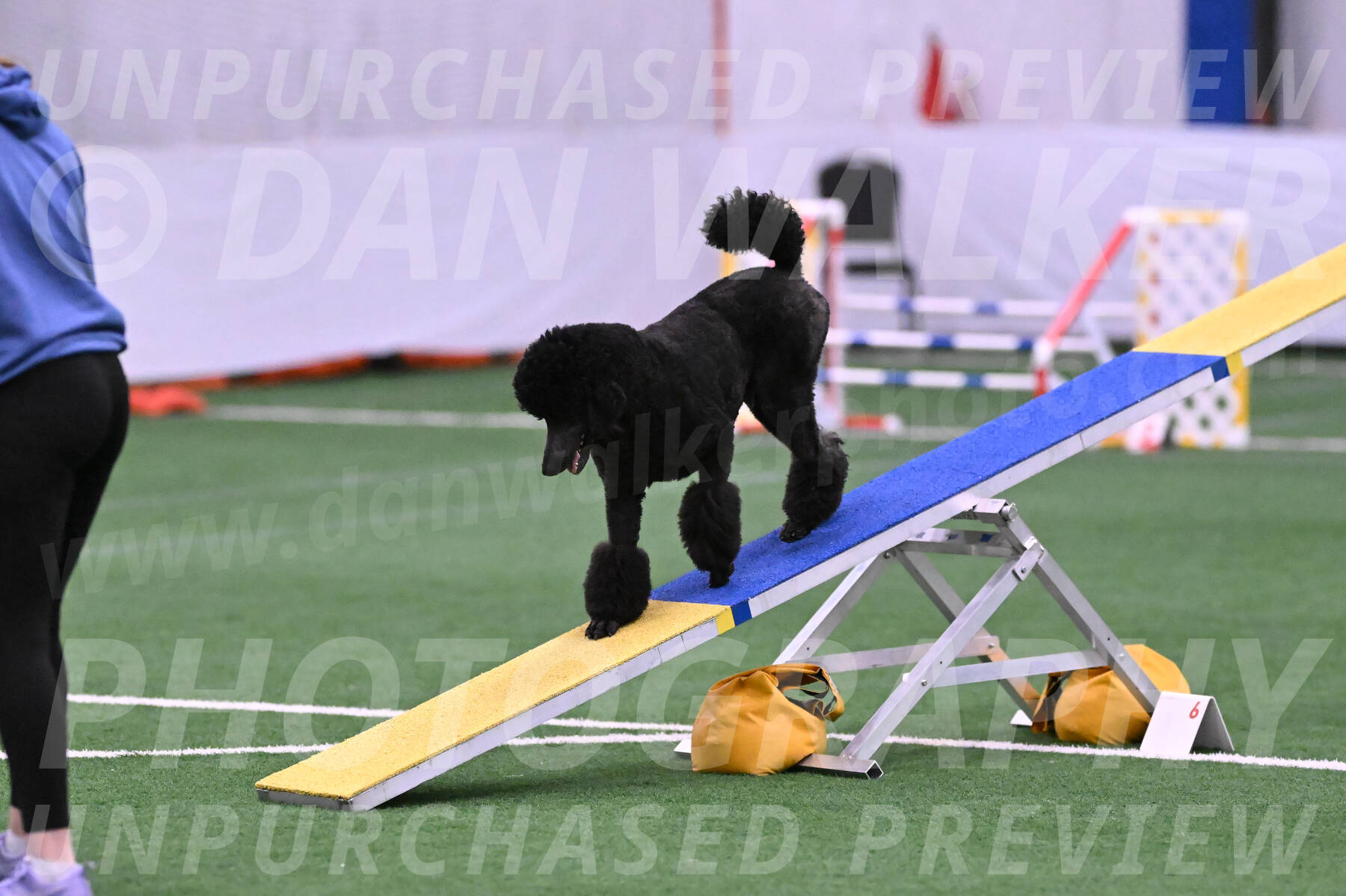 Finn-Madison-Canton-23009