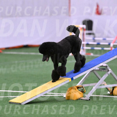 Finn-Madison-Canton-23010
