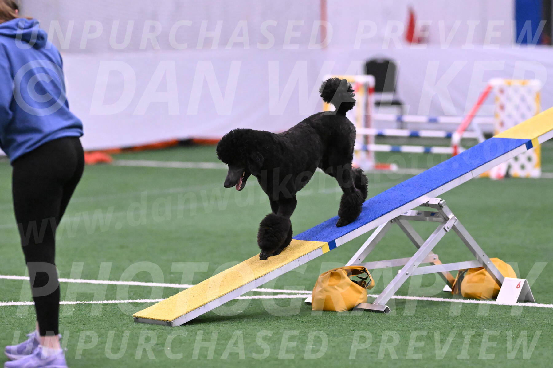 Finn-Madison-Canton-23011