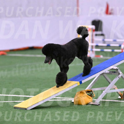 Finn-Madison-Canton-23011