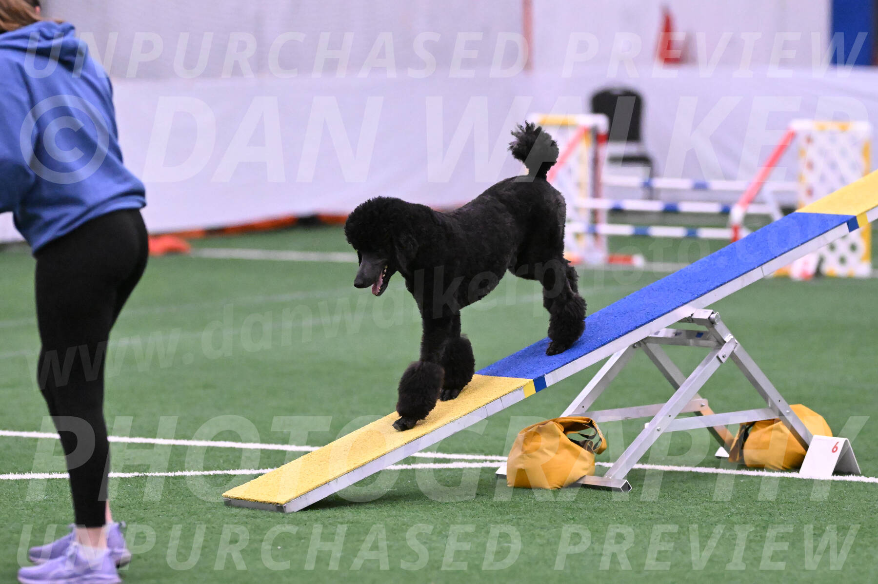 Finn-Madison-Canton-23012