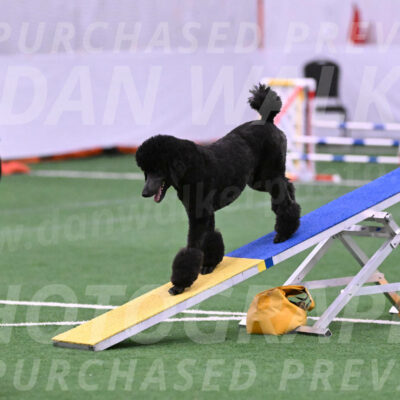 Finn-Madison-Canton-23012