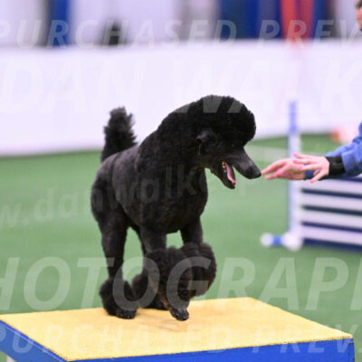 Finn-Madison-Canton-23014