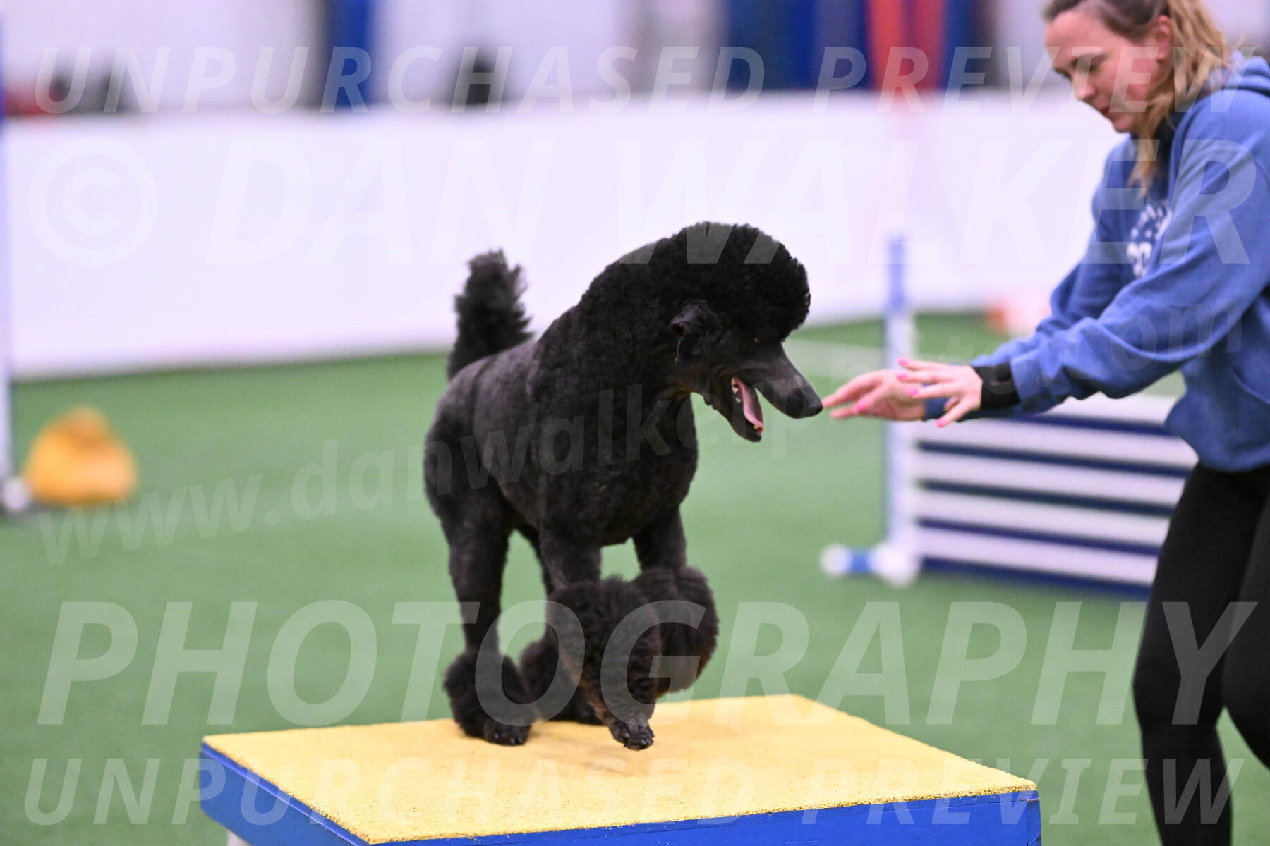 Finn-Madison-Canton-23014