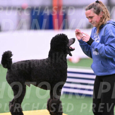 Finn-Madison-Canton-23015