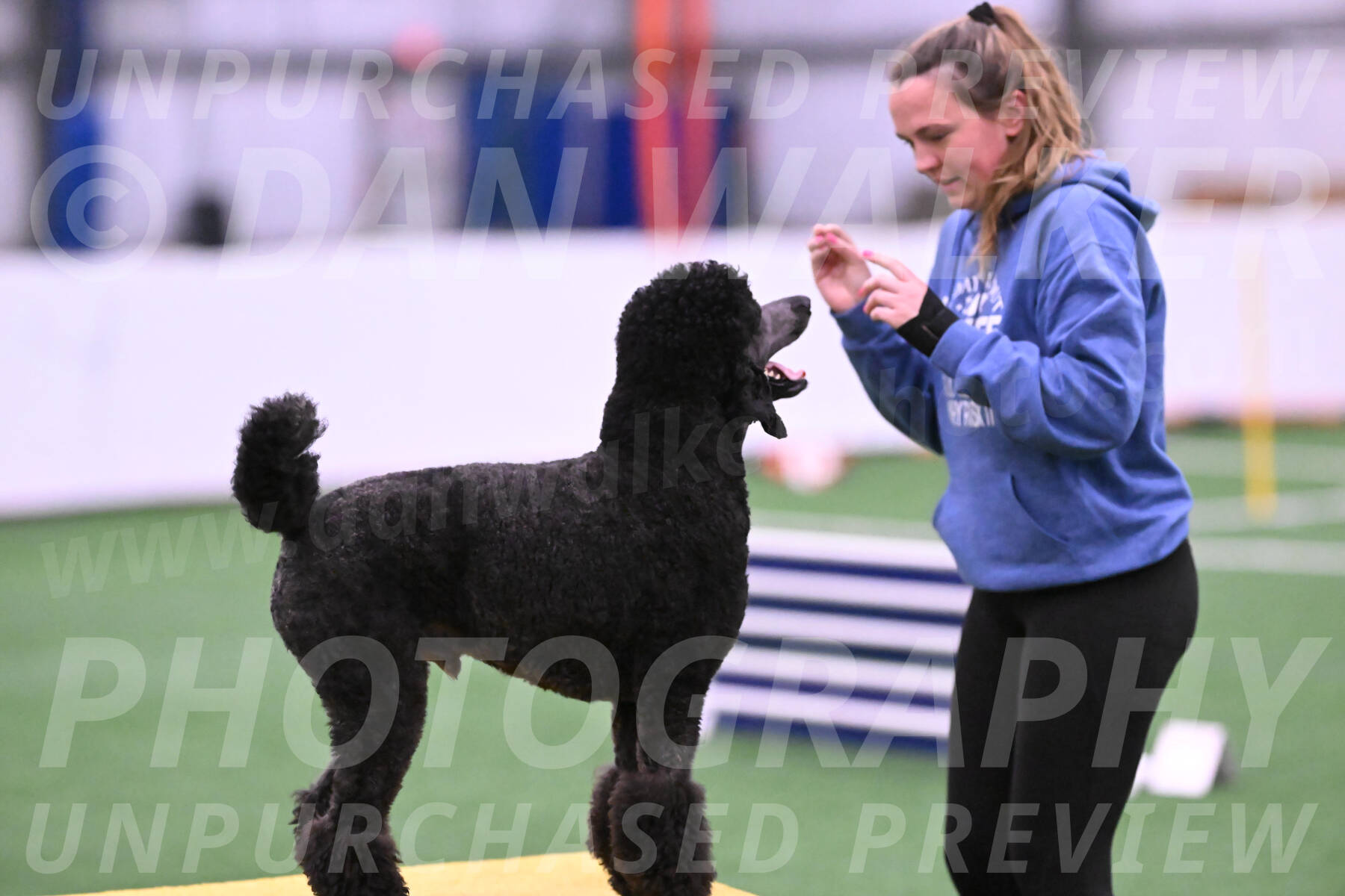 Finn-Madison-Canton-23015