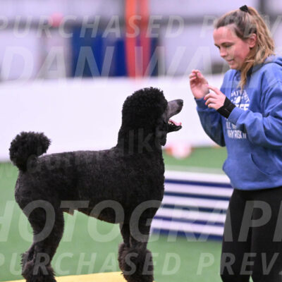 Finn-Madison-Canton-23016