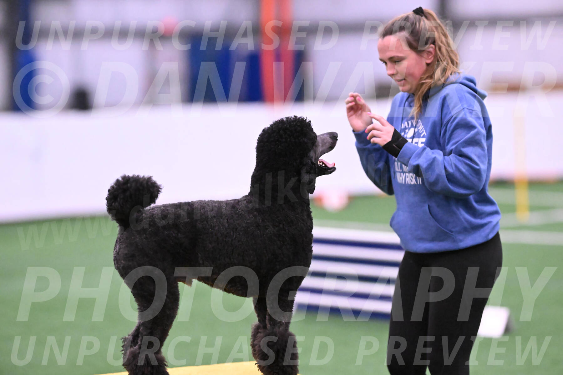 Finn-Madison-Canton-23016