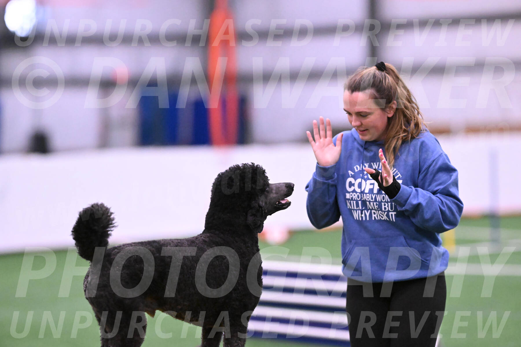 Finn-Madison-Canton-23018