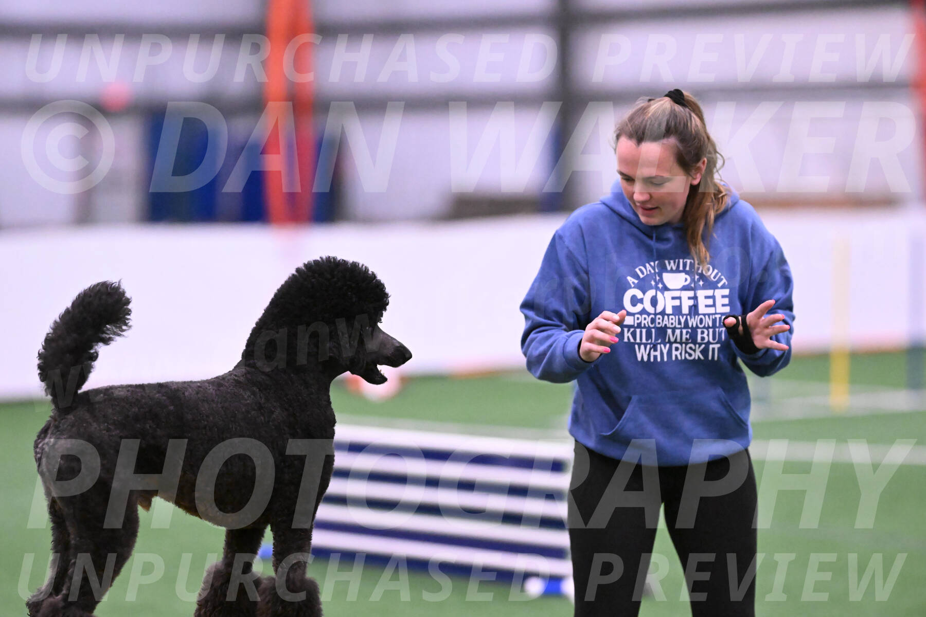 Finn-Madison-Canton-23021