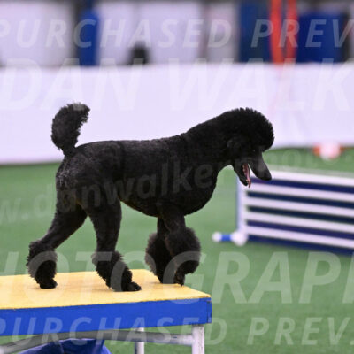 Finn-Madison-Canton-23023