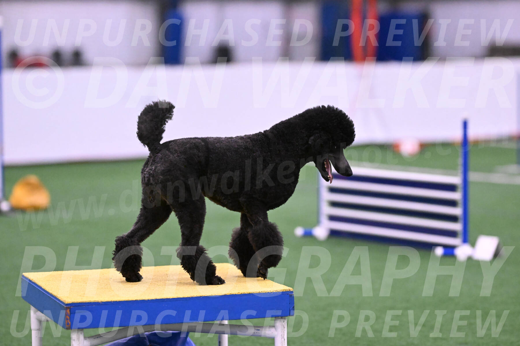 Finn-Madison-Canton-23023