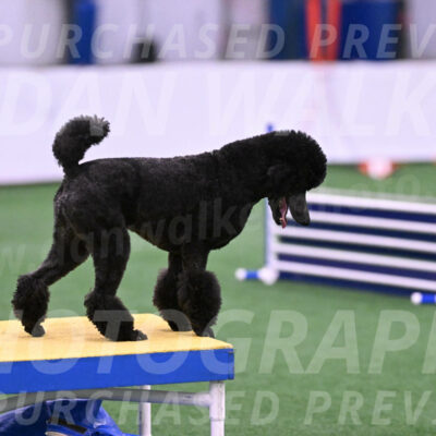 Finn-Madison-Canton-23024