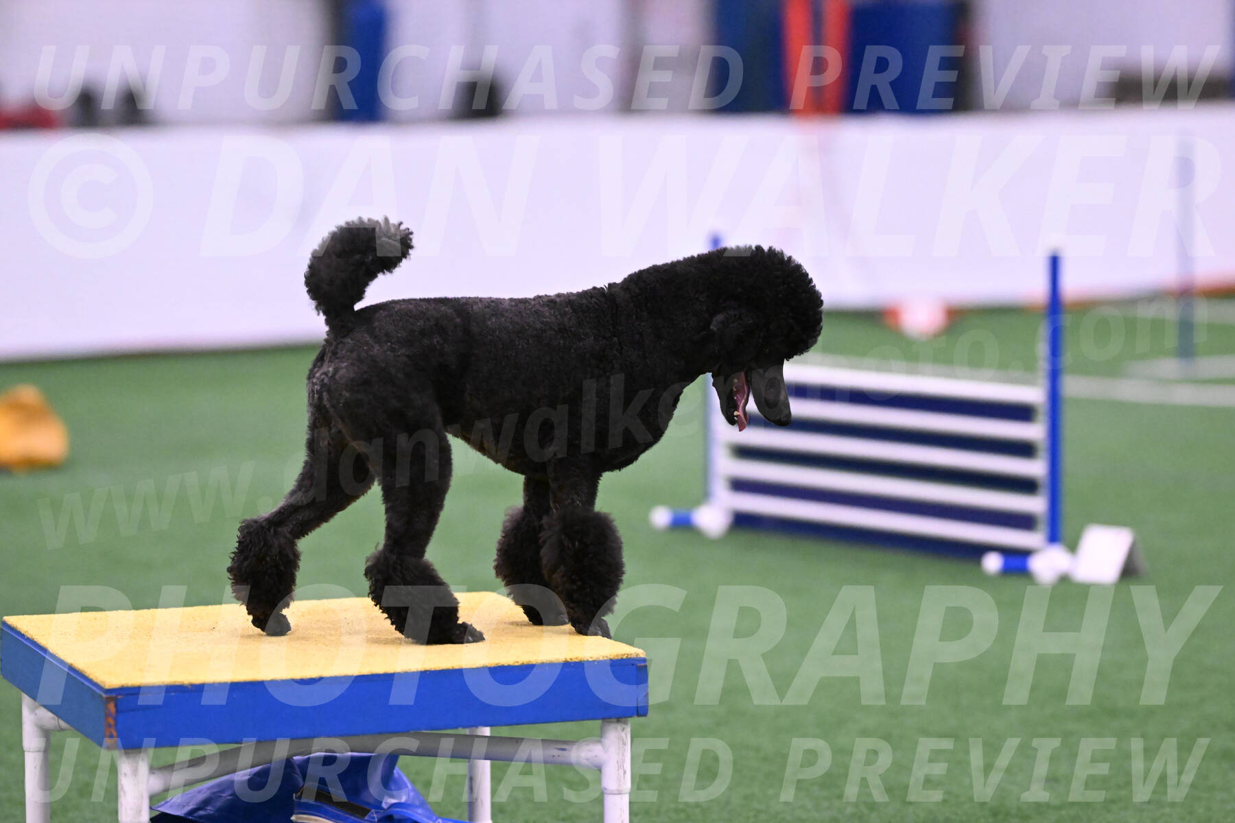 Finn-Madison-Canton-23024