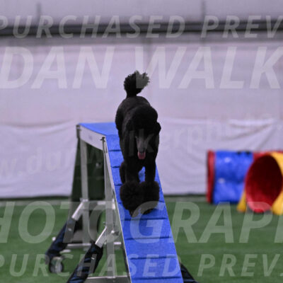 Finn-Madison-Canton-23029