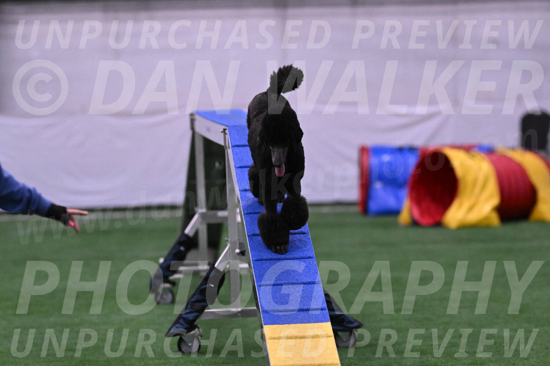 Finn-Madison-Canton-23030