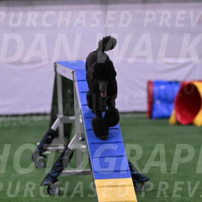 Finn-Madison-Canton-23030
