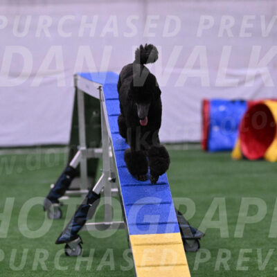 Finn-Madison-Canton-23031