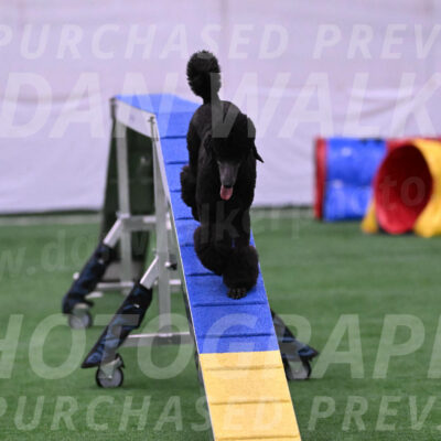Finn-Madison-Canton-23032