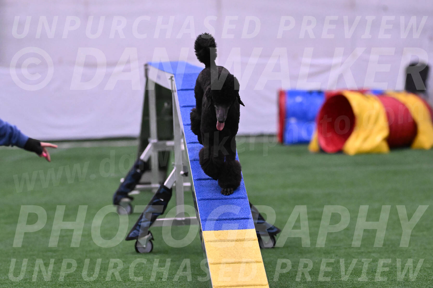 Finn-Madison-Canton-23032