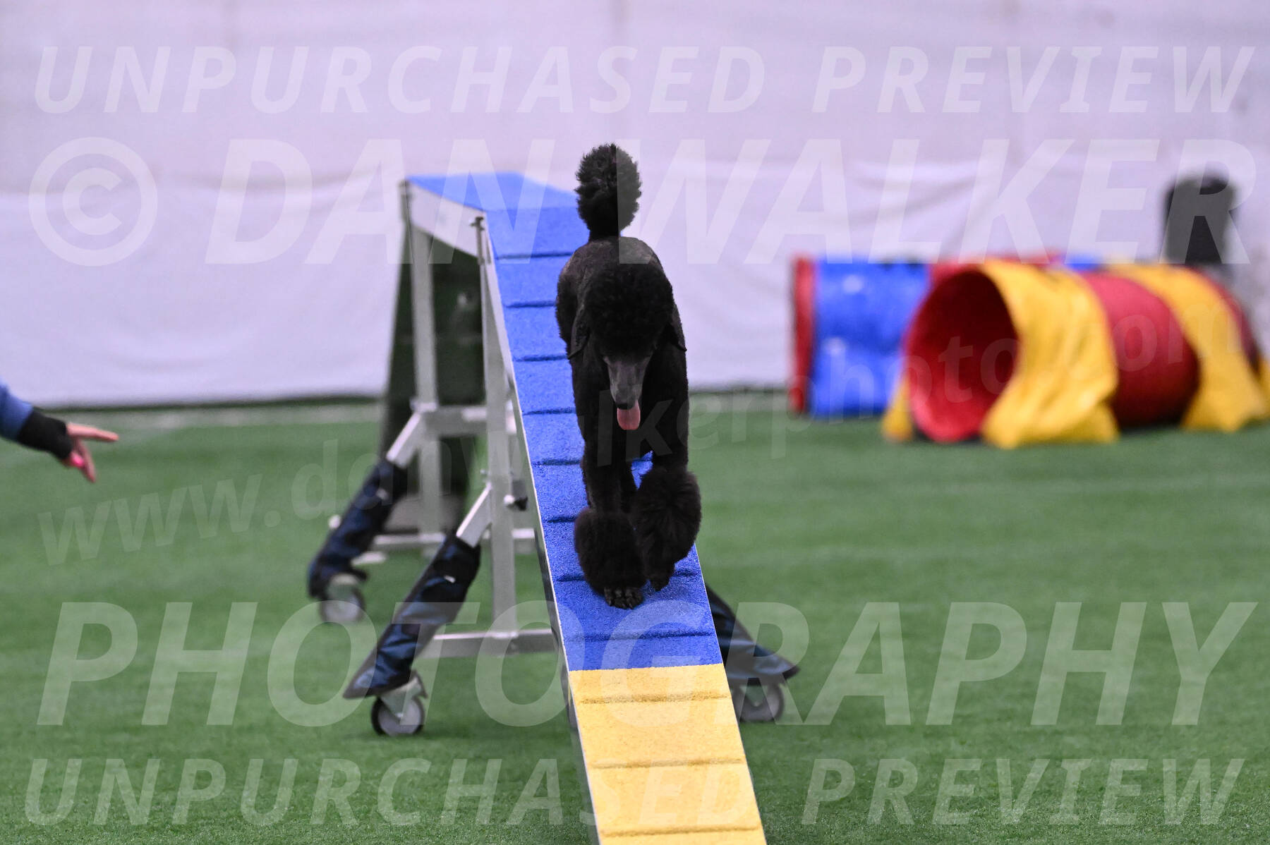 Finn-Madison-Canton-23033